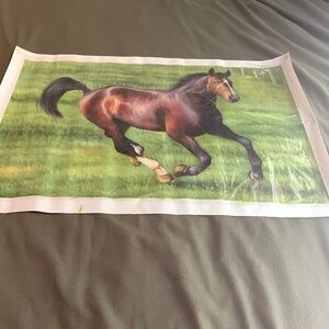 Gorgeous horse in green grass original oil painting. Approx 35 3/4” x 24 1/4”